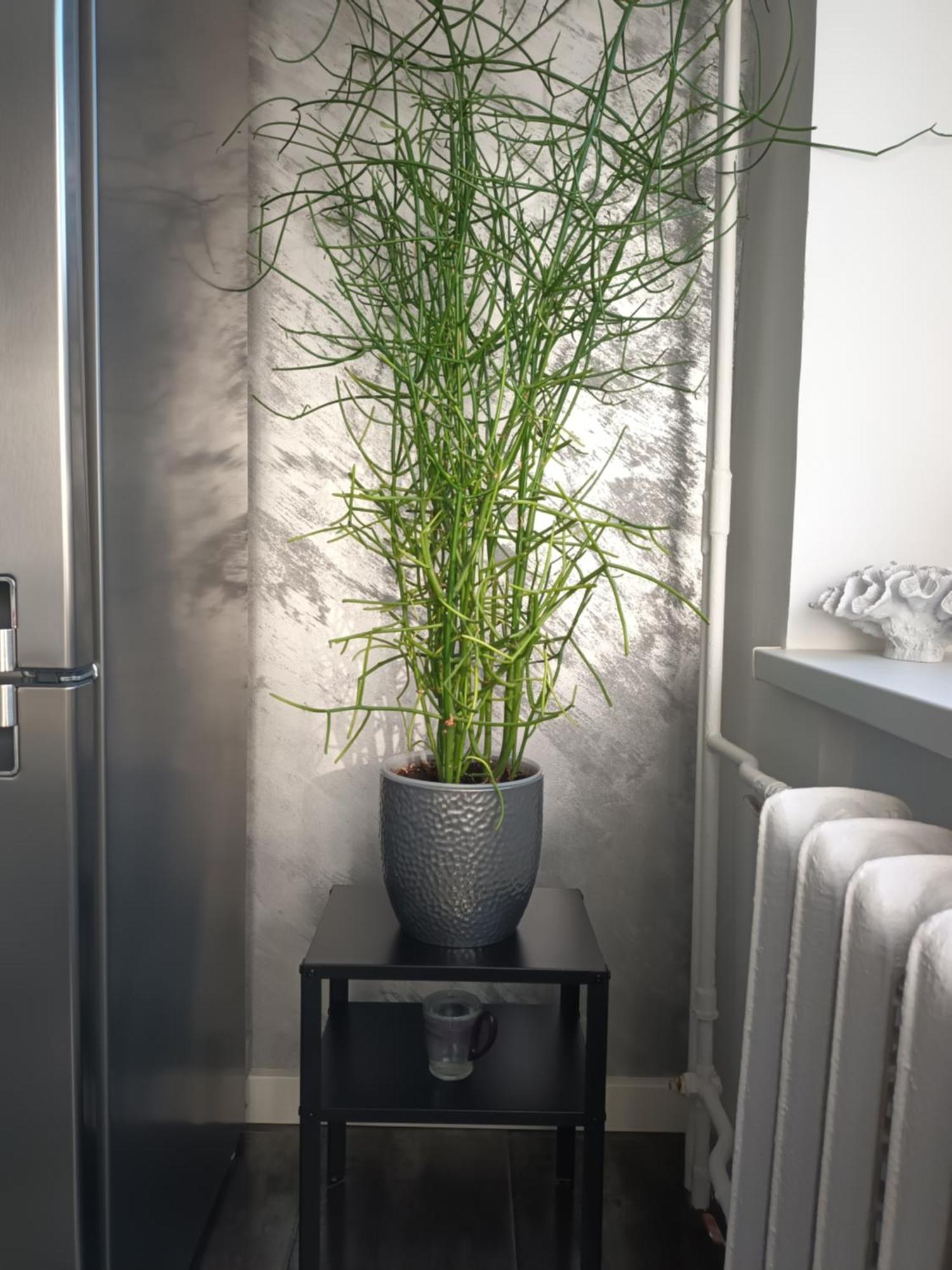 Apartment Tallin Zewnętrze zdjęcie